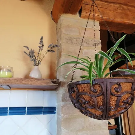 Podere Sant'antonio Farm stay Buonconvento